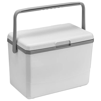 3L Insulated Portable Cooler with Handle Picnic Ice Bucket Heat Preservation Food Storage Cooler Box for Camping Tailgating